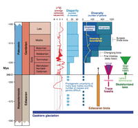 Cambrian Explosion Marshall 2006.png